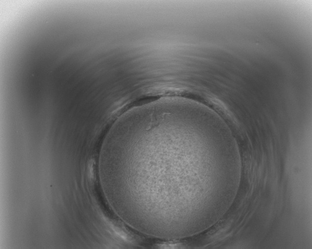 X0000064740071200602131327