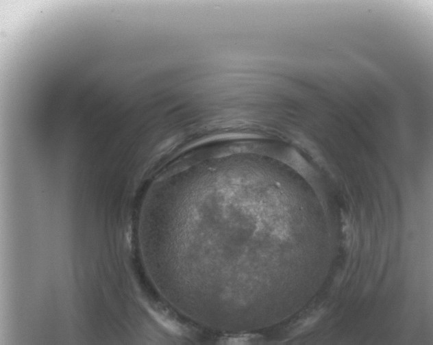 X0000064740072200602131327