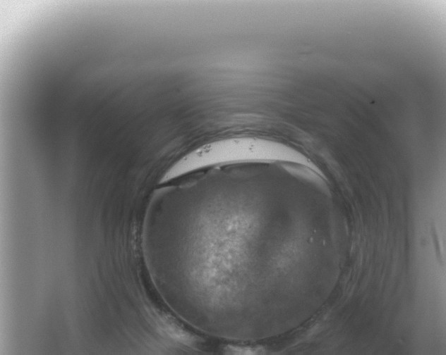 X0000064740073200602131327