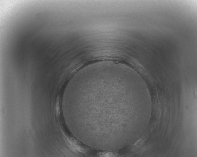 X0000064740074200602131327