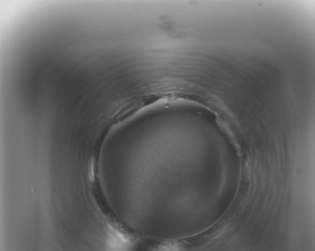 X0000064740076200602131327