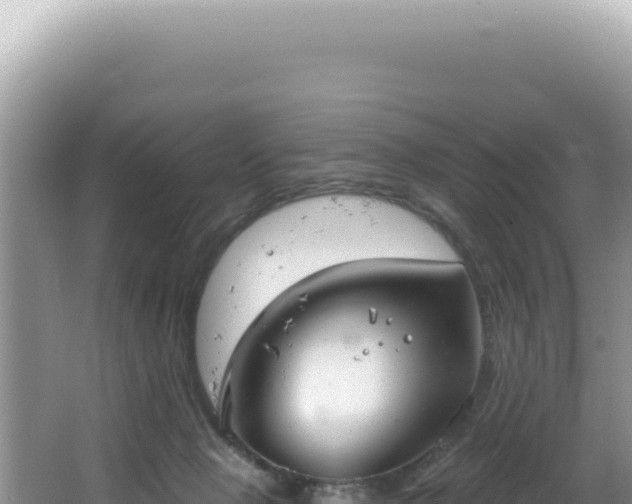 X0000064740077200602131327