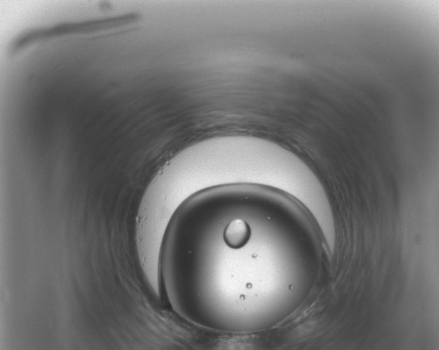 X0000064740078200602131327