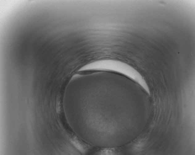 X0000064740080200602131327