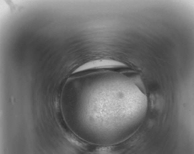 X0000064740084200602131327