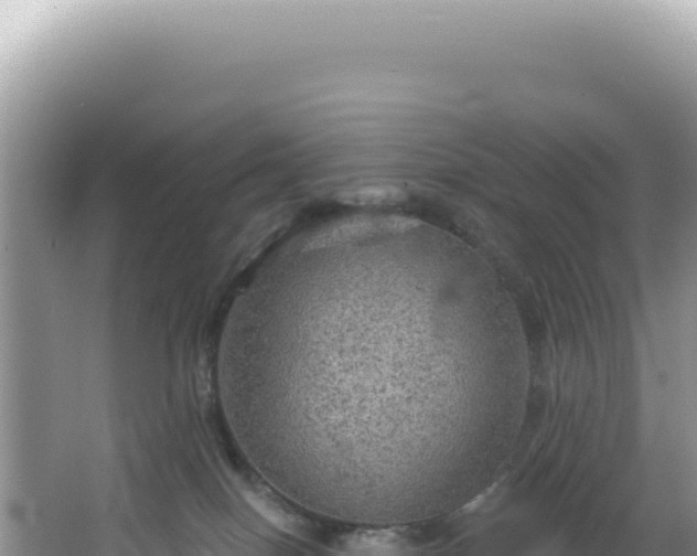 X0000064740086200602131327