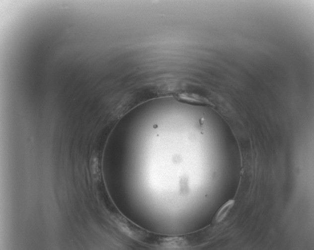 X0000064740087200602131327