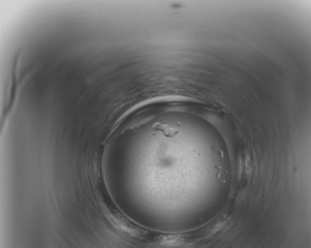 X0000064740088200602131327