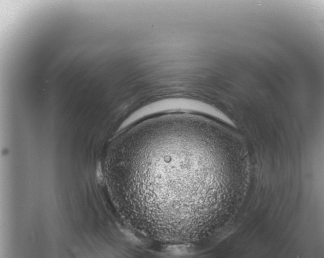 X0000064740089200602131327