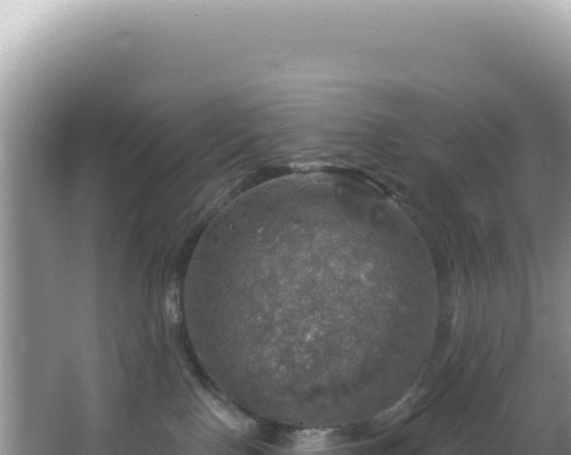 X0000064740090200602131327