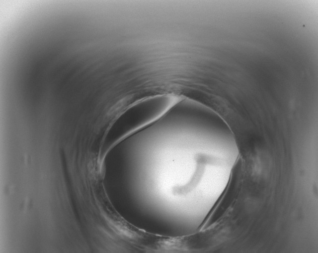 X0000064740092200602131327