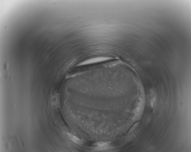 X0000064740093200602131327