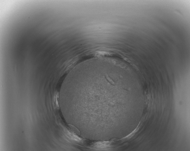 X0000064740094200602131327