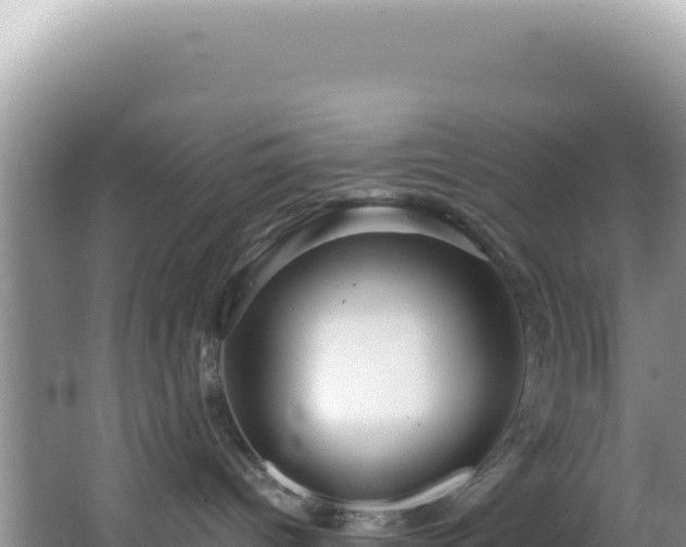 X0000064740096200602131327