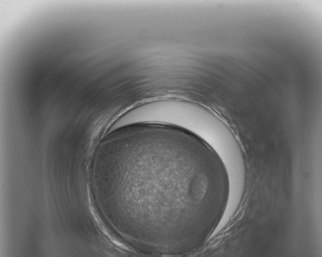 X0000064740097200602131326