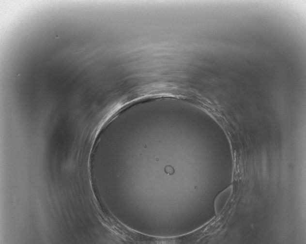 X0000064740099200602131326