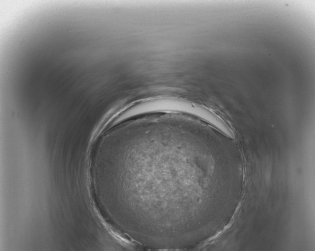 X0000064740101200602131326