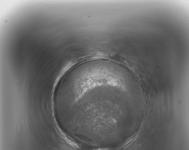 X0000064740102200602131326