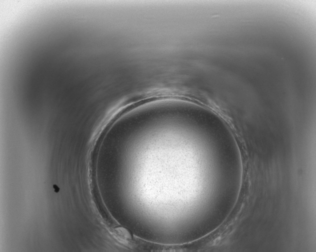 X0000064740103200602131326