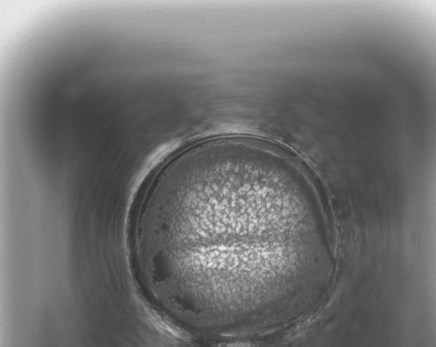 X0000064740104200602131326