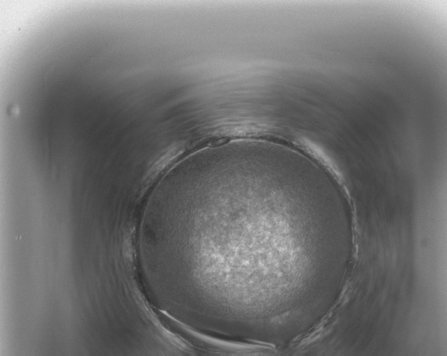 X0000064740105200602131326