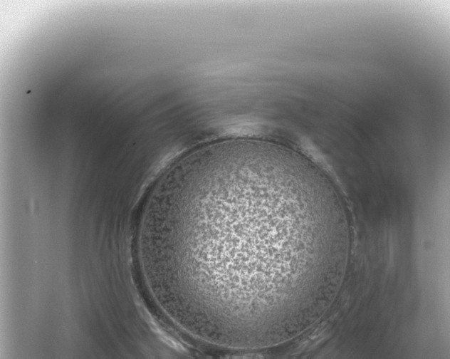 X0000064740106200602131326