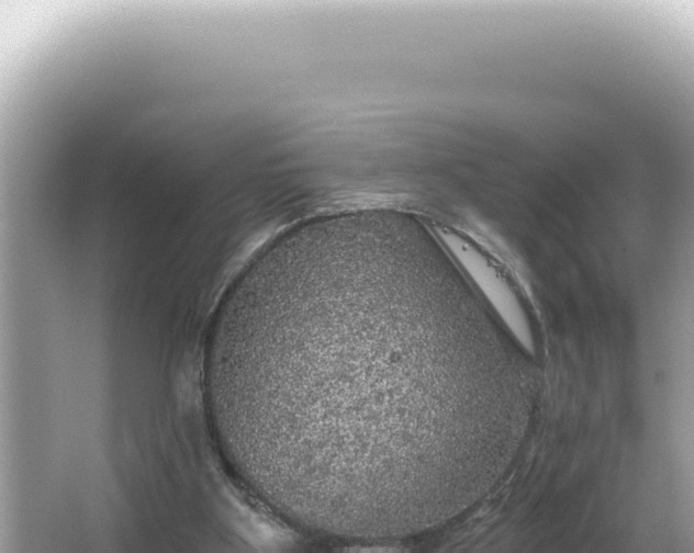 X0000064740107200602131326