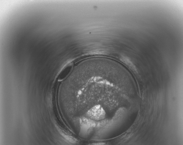 X0000064740108200602131326