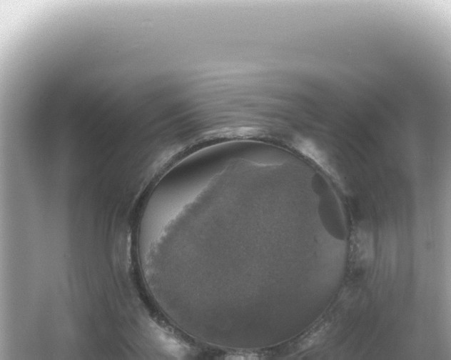 X0000064740110200602131326