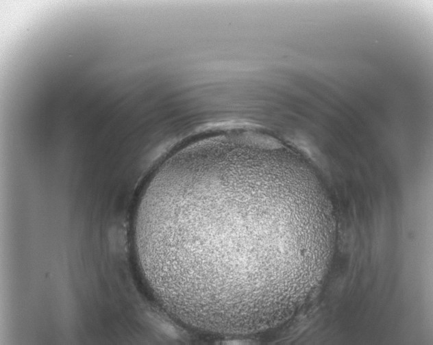 X0000064740111200602131326