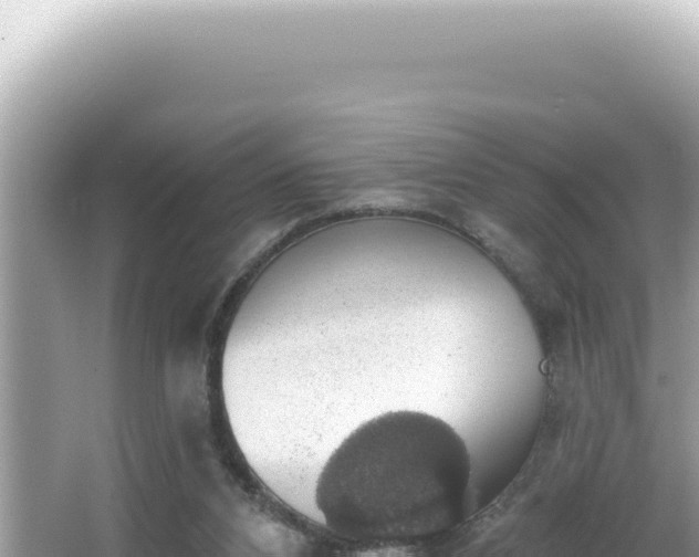 X0000064740112200602131326