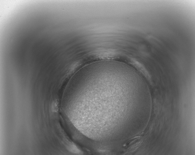 X0000064740113200602131326