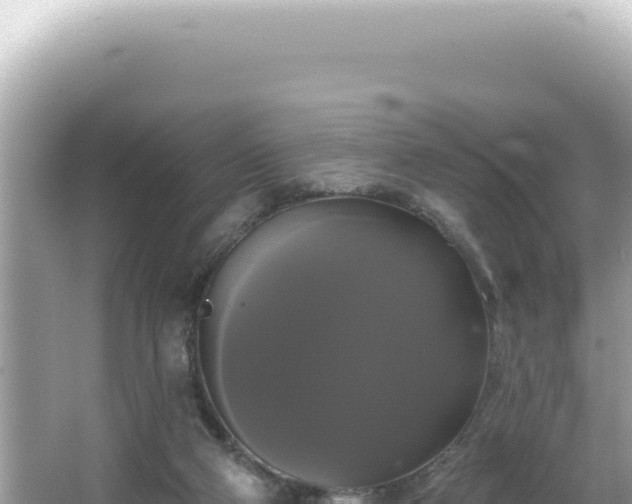 X0000064740114200602131326