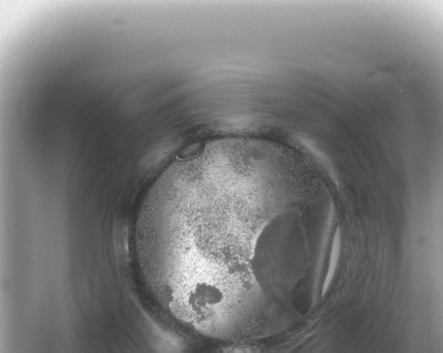 X0000064740115200602131326