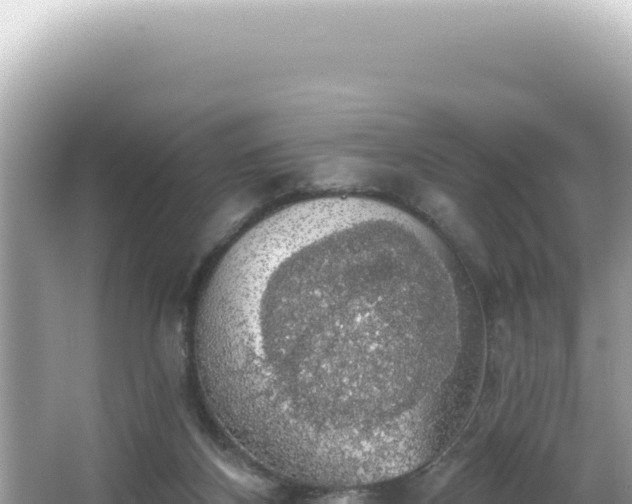 X0000064740116200602131326