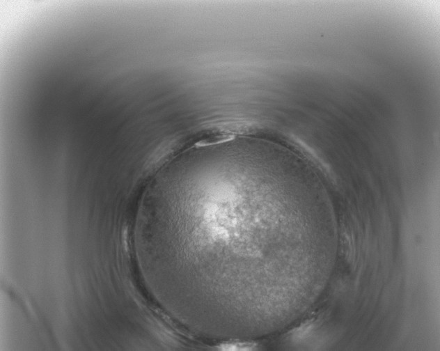 X0000064740117200602131326