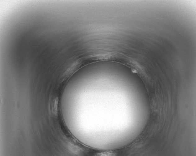 X0000064740118200602131326