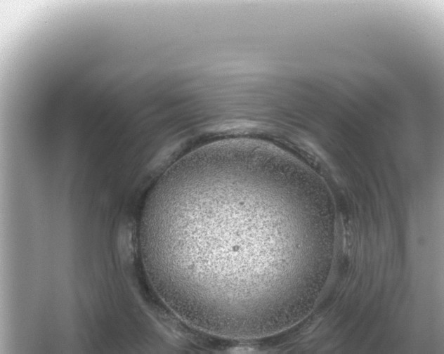 X0000064740119200602131326