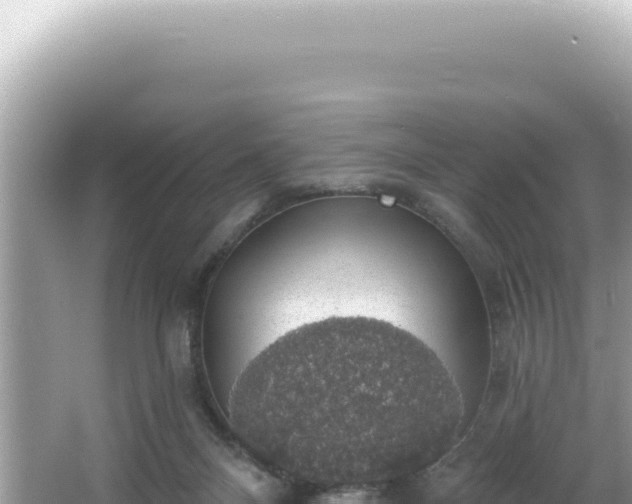 X0000064740120200602131326