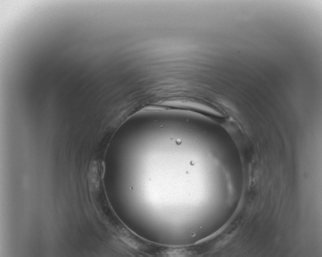 X0000064740121200602131326