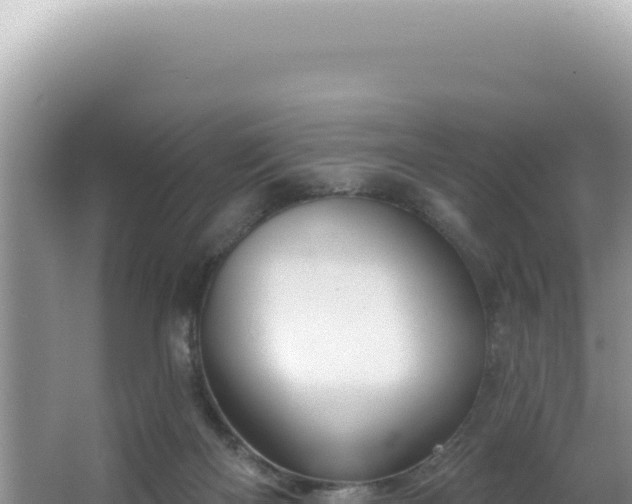 X0000064740122200602131326