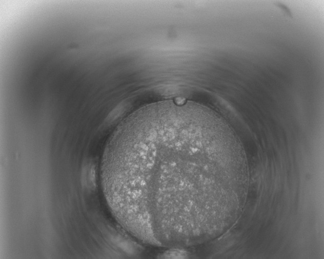 X0000064740124200602131326