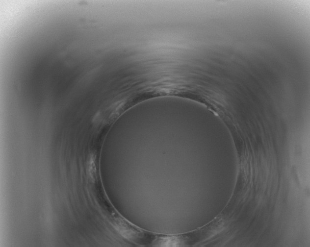 X0000064740127200602131326