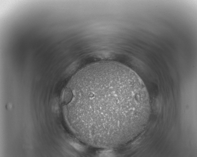 X0000064740132200602131326