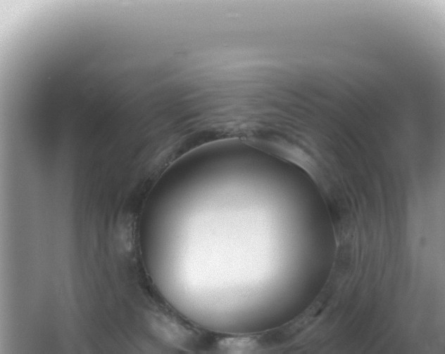 X0000064740133200602131326