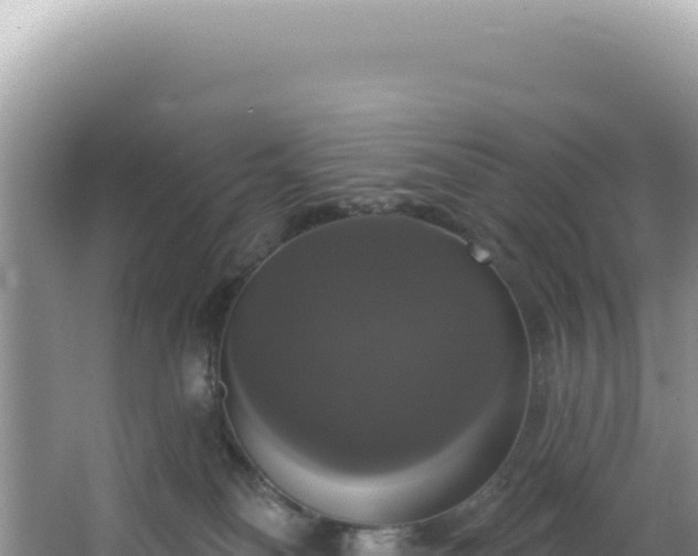 X0000064740134200602131326