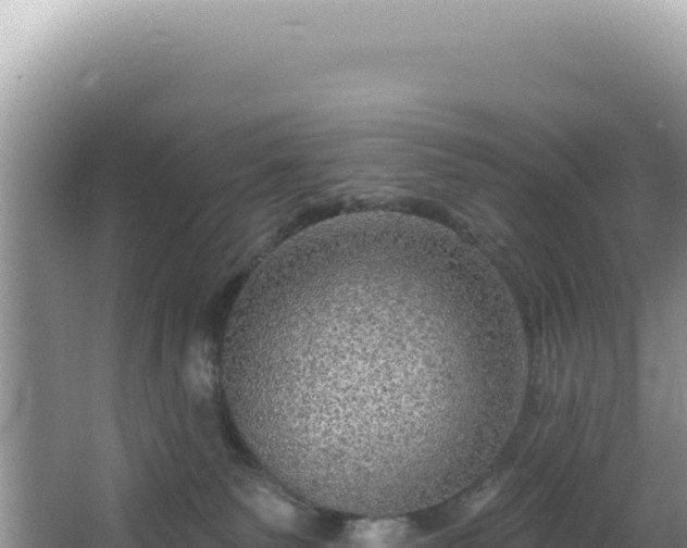 X0000064740135200602131326