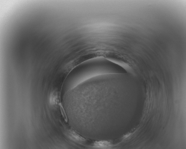 X0000064740137200602131326