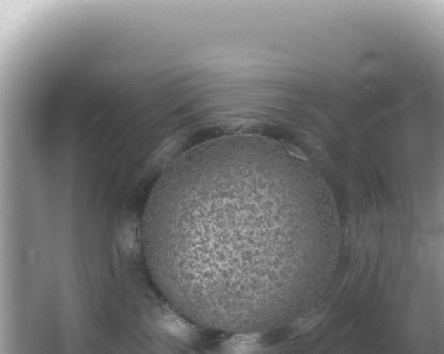 X0000064740138200602131326