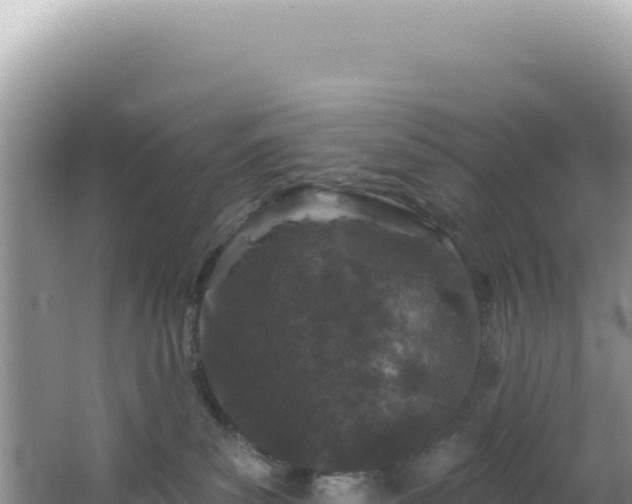 X0000064740139200602131326